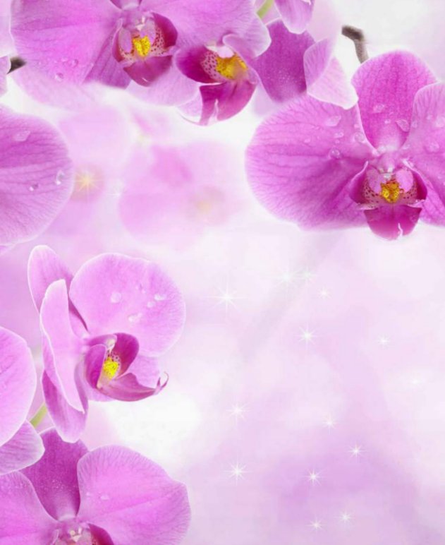 Lenzuolo copriletto matrimoniale Erica della linea Miss Terry di Biancaluna. Il completo lenzuola Erica è in 100% puro cotone ed è stampato in digitale ad alta definizione.Le federe e il lenzuolo di sopra presentano una fantasia floreale. Il lenzuolo con angoli e la balza del lenzuolo di sopra sono in tinta unita color lilla. Dettaglio fantasia.