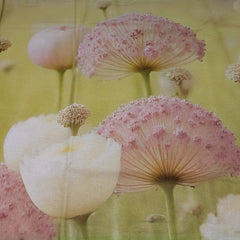 lenzuolo copriletto allium miss terry. fantasia fiori rosa e bianchi su fondo verde