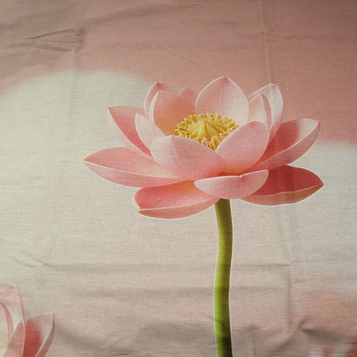 lenzuolo copriletto miss terry biancaluna fantasia fiore rosa
