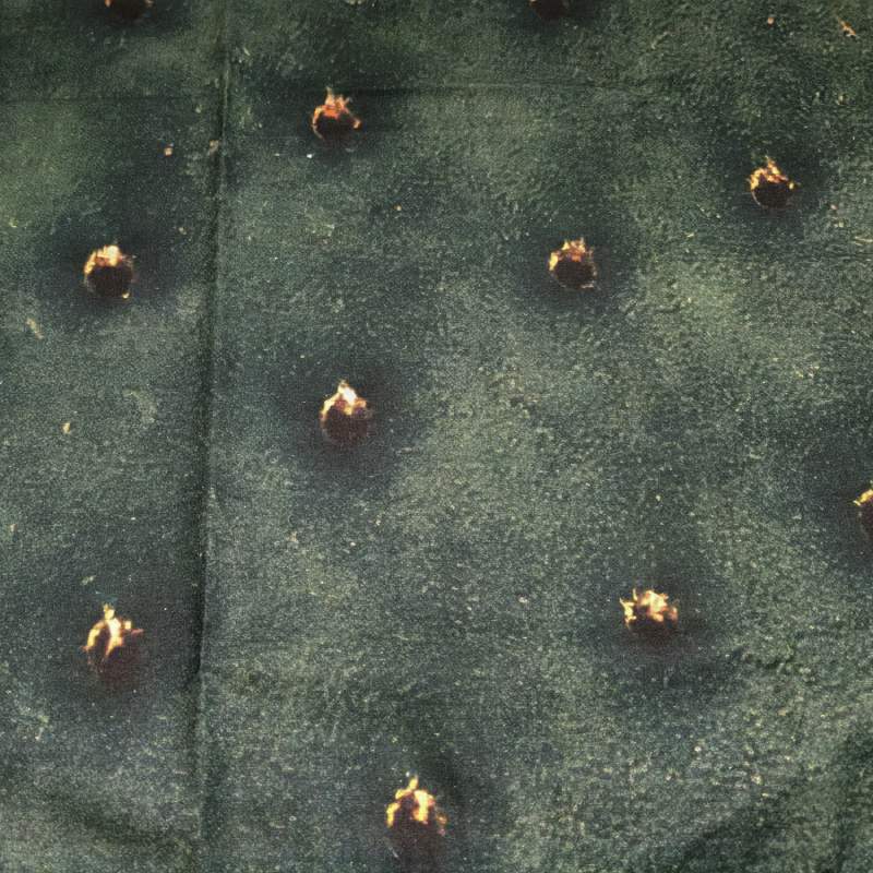 lenzuolo copriletto cactus. dettaglio fantasia con cactus verde scuro
