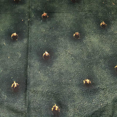 lenzuolo copriletto cactus. dettaglio fantasia con cactus verde scuro