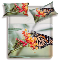 Lenzuolo copriletto matrimoniale Fly della linea Miss Terry di Biancaluna. Il completo lenzuola Fly è in 100% puro cotone ed è stampato in digitale ad alta definizione. Le federe e il lenzuolo di sopra presentano una fantasia che ritrae una farfalla su fiori dai colori vivaci. Il lenzuolo con angoli e la balza del lenzuolo di sopra sono in tinta unita color beige.